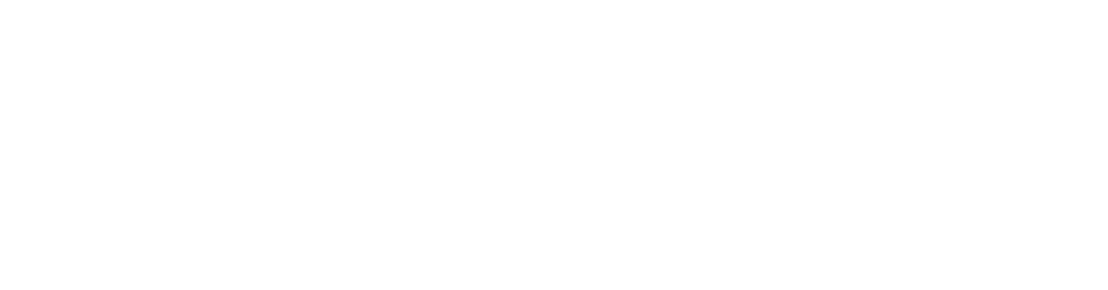 neweb-logo